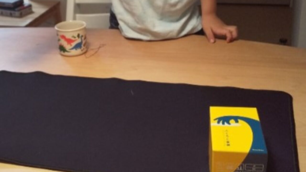 ふくろと金貨/ Moneybags】ルール概要とレビュー：ボードゲーム家族 | 新！ボードゲーム家族