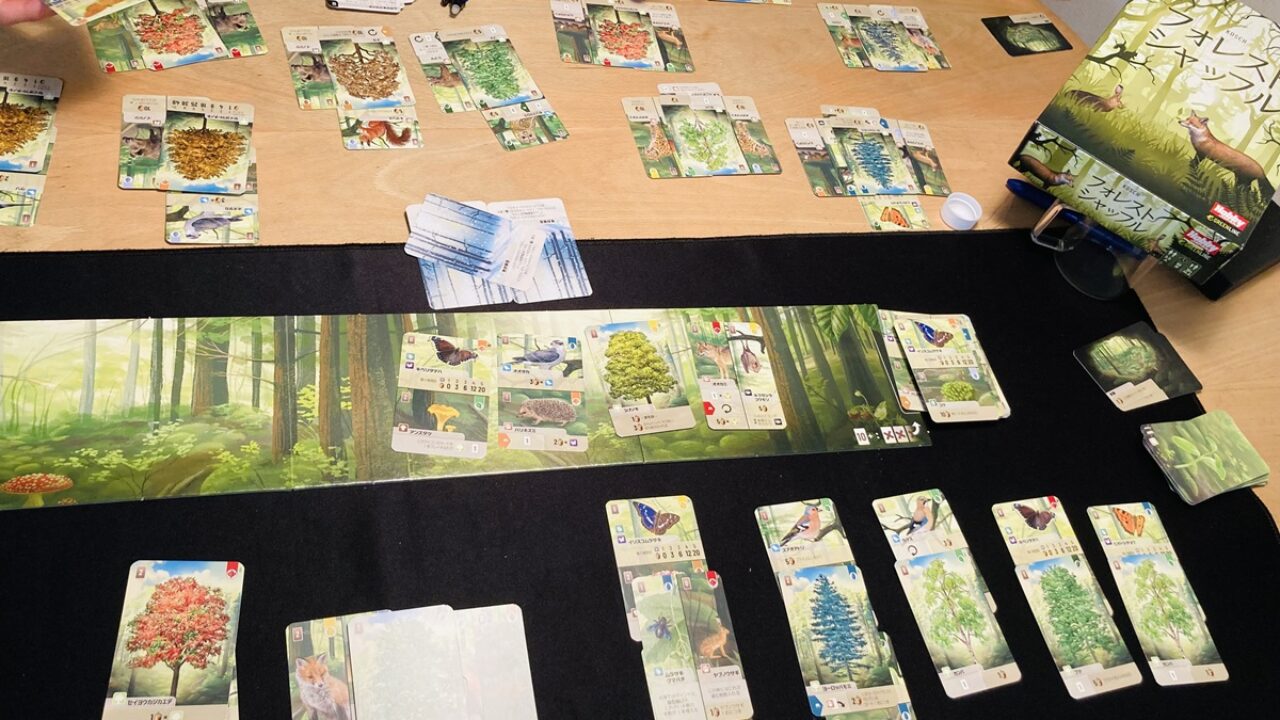 フォレストシャッフル/ Forest Shuffle】ルール概要とレビュー：ボード